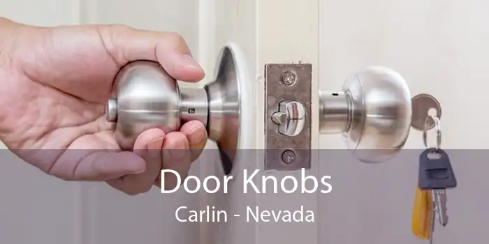 Door Knobs Carlin - Nevada
