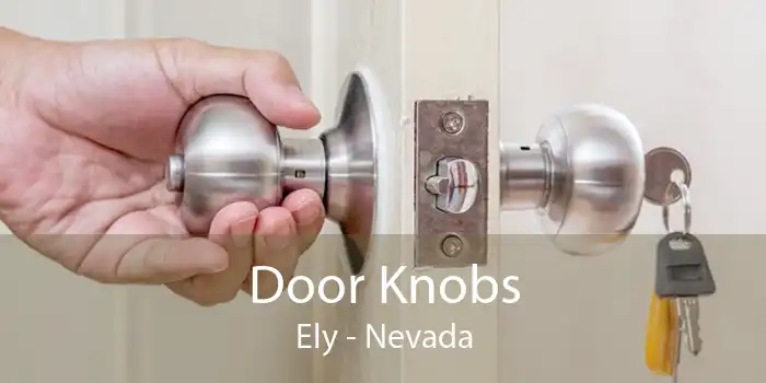 Door Knobs Ely - Nevada