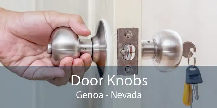 Door Knobs Genoa - Nevada