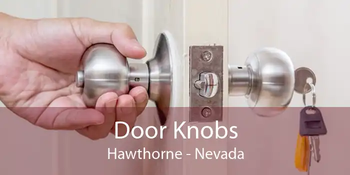 Door Knobs Hawthorne - Nevada