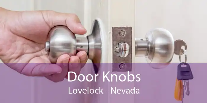 Door Knobs Lovelock - Nevada