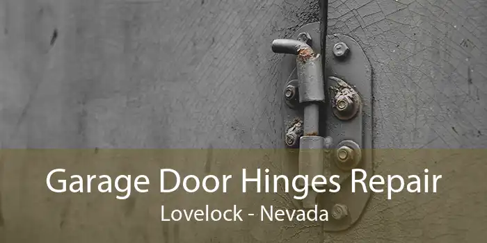 Garage Door Hinges Repair Lovelock - Nevada