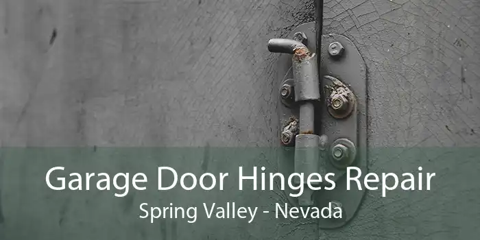 Garage Door Hinges Repair Spring Valley - Nevada