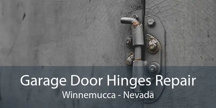 Garage Door Hinges Repair Winnemucca - Nevada